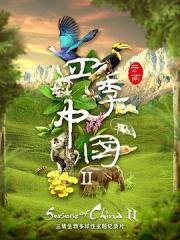 四季中国 第二季海报