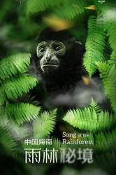 中国海南·雨林秘境海报